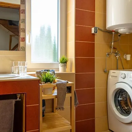 Hoforras Apartman Hajdunanas
