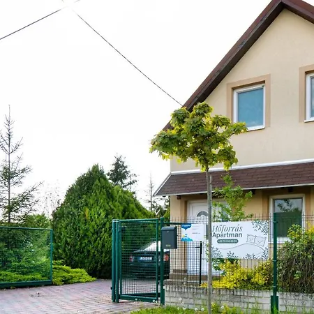 Hoforras Apartman *